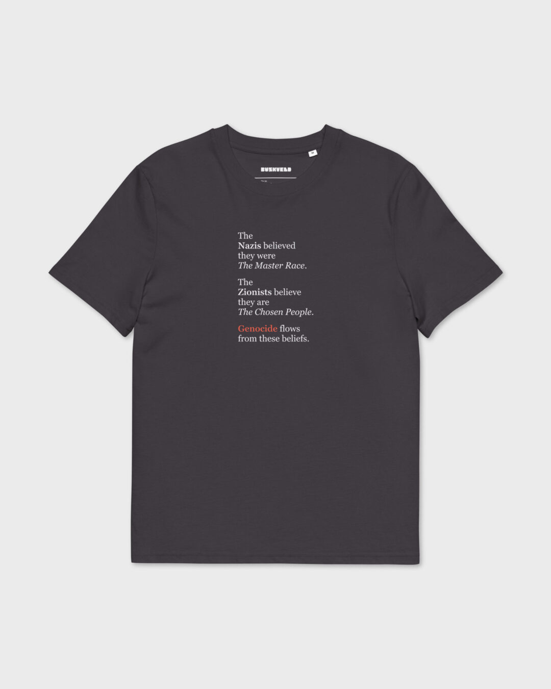 Unisex organic cotton t shirt anthracite front 688f7bf61c496.jpg